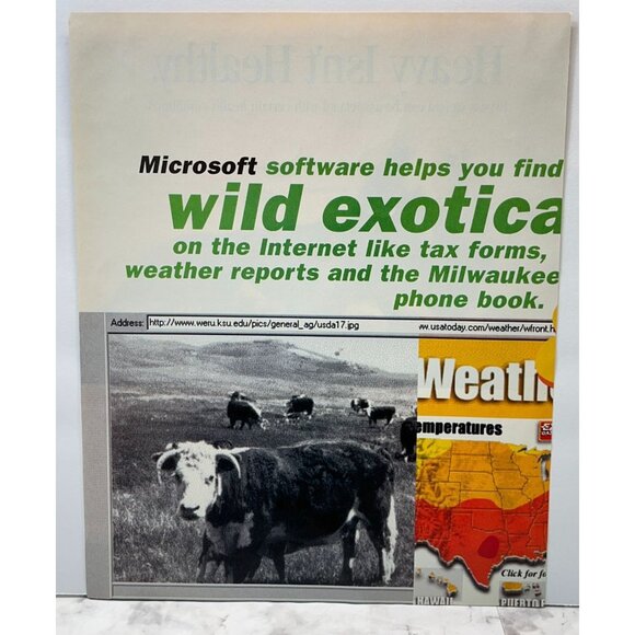 Purina Dog Food Print Ad Vintage 90s Fit and Trim Bassett Hound Weight Control - Picture 3 of 5